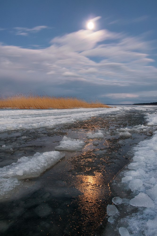 Фотография автора Федотов Антон