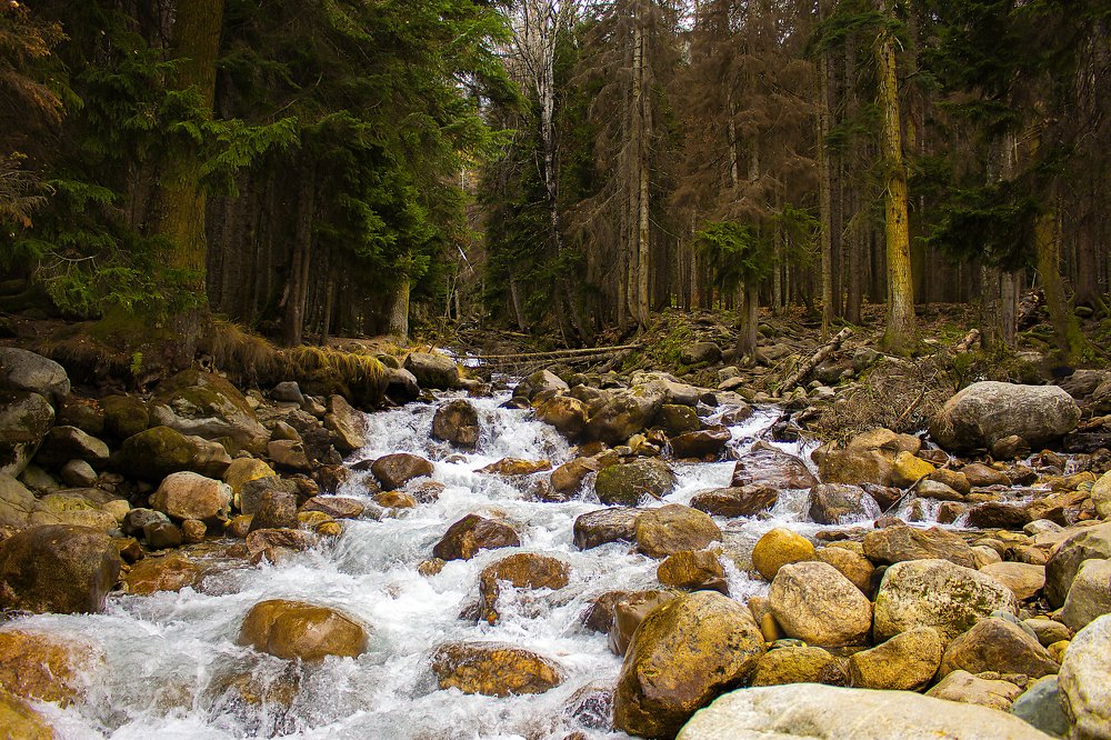 Река Уллу-Муруджу, Домбай. октябрь 2019
