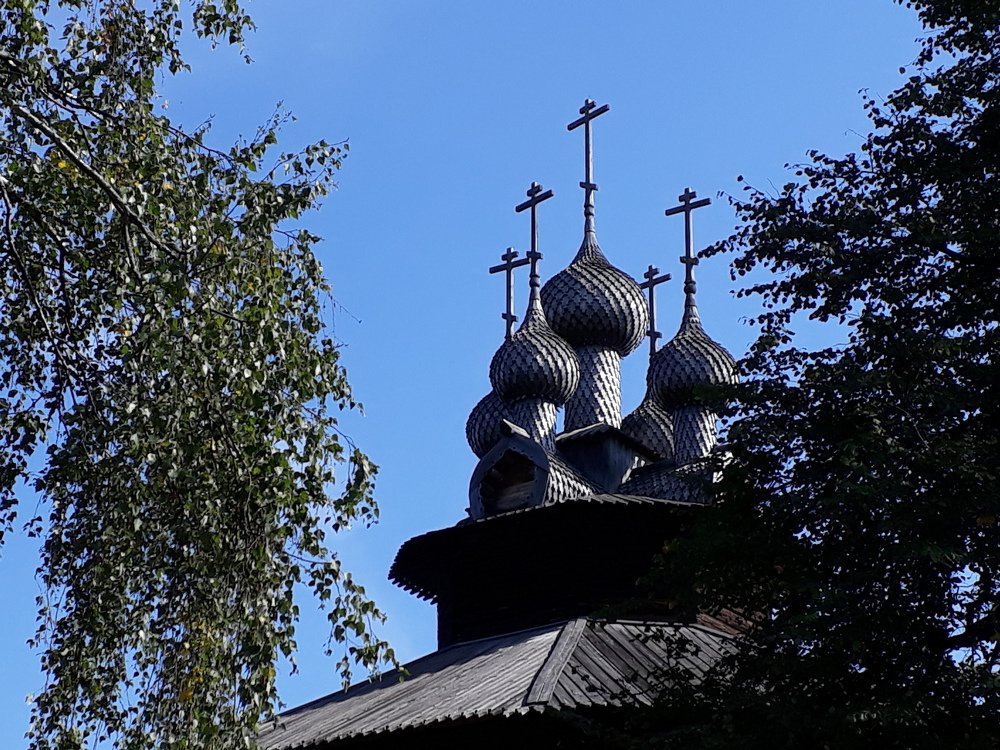 Купола