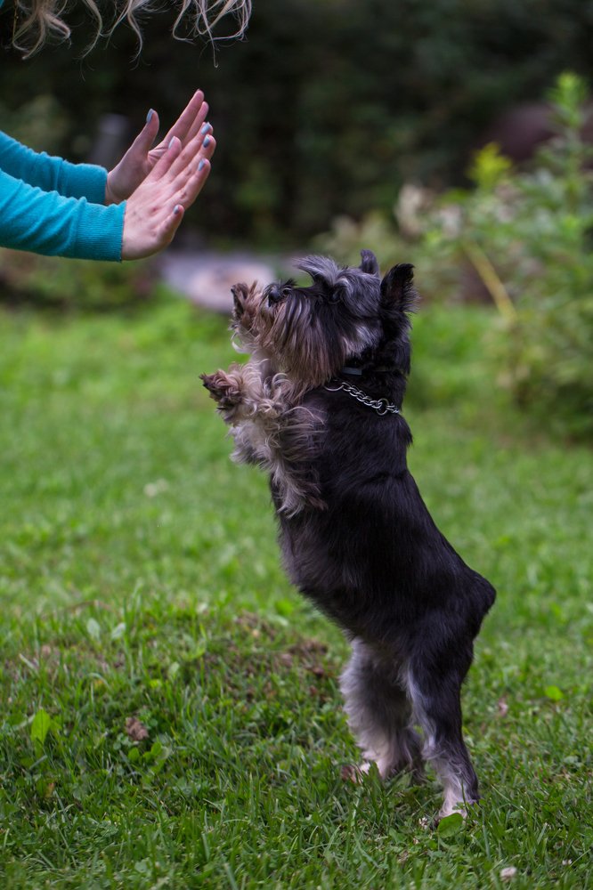 Photograph by Елена Иванова