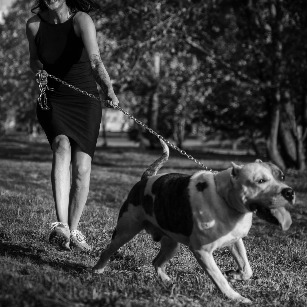 Фотография автора Владимир Воронов