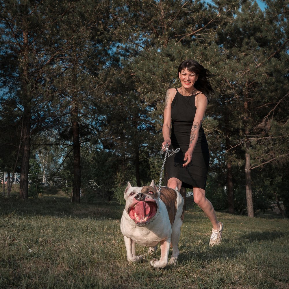 Фотография автора Владимир Воронов