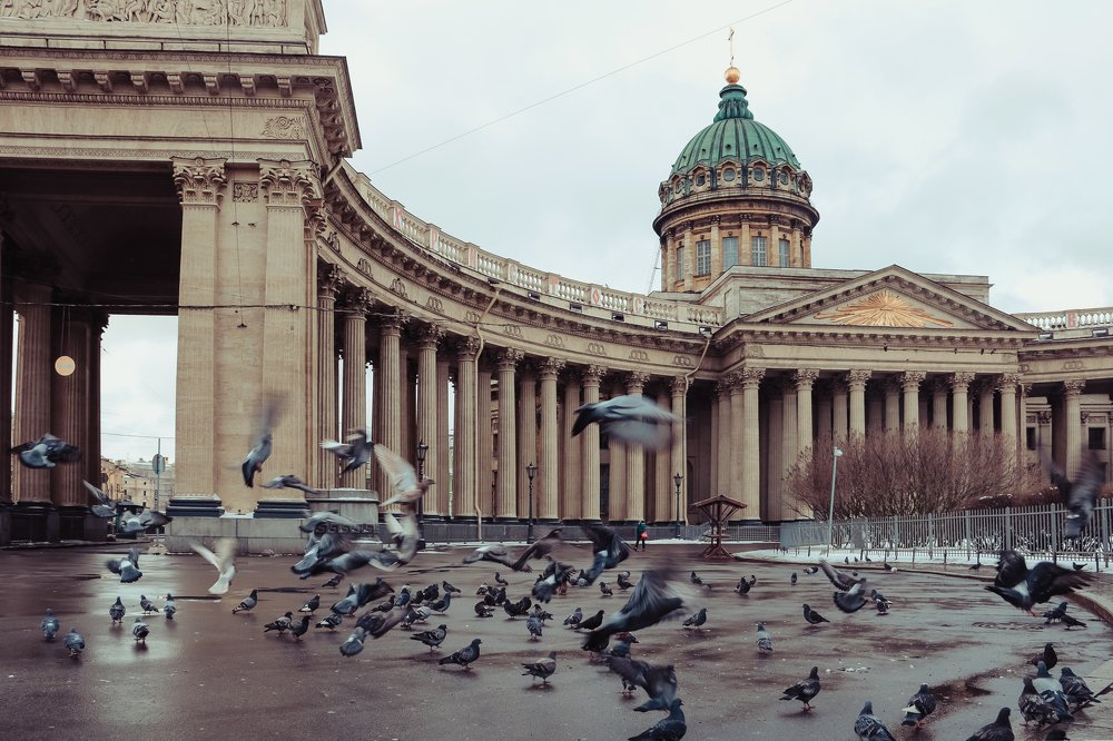 Утро в Санкт-Петербурге.
