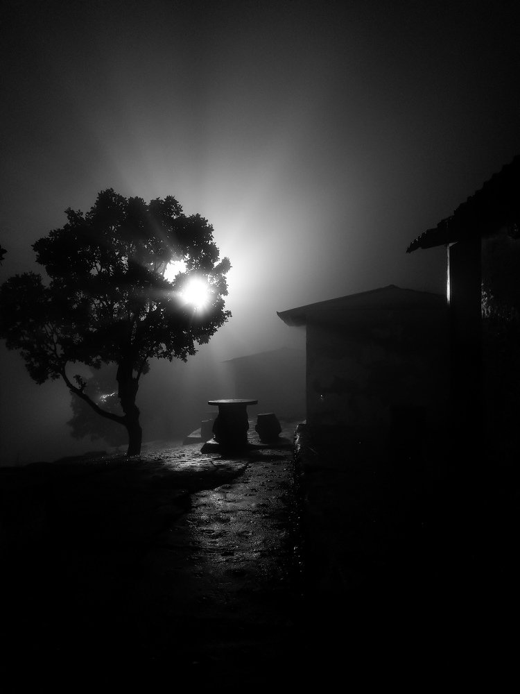 Photograph by amin roshan afshar