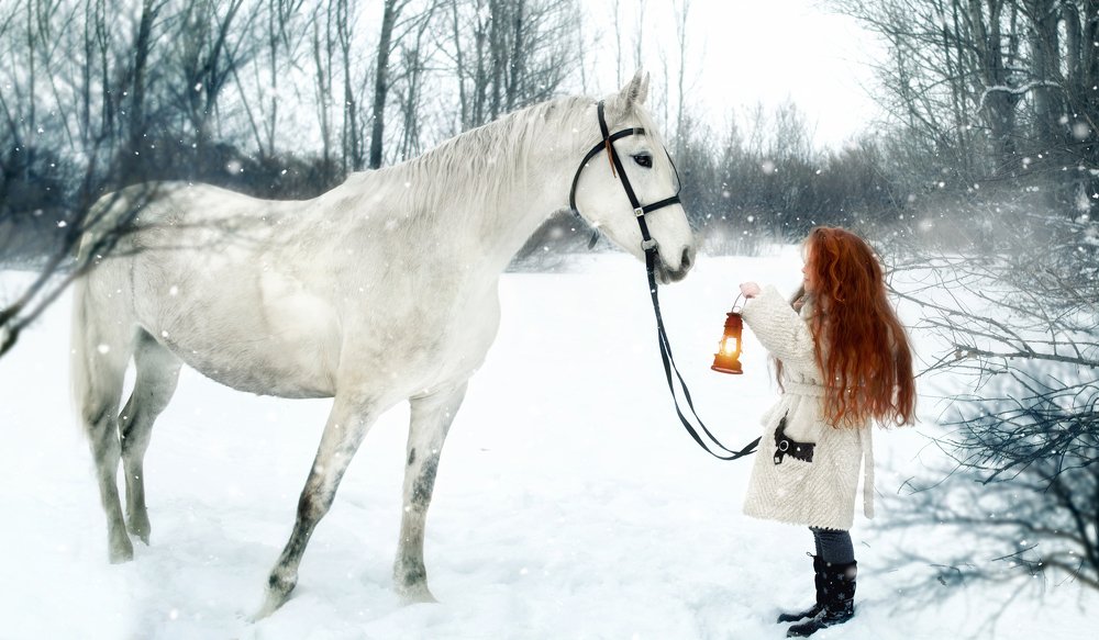 Photograph by Ольга Сиренко