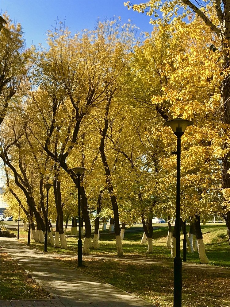 Photograph by Анар Амирова