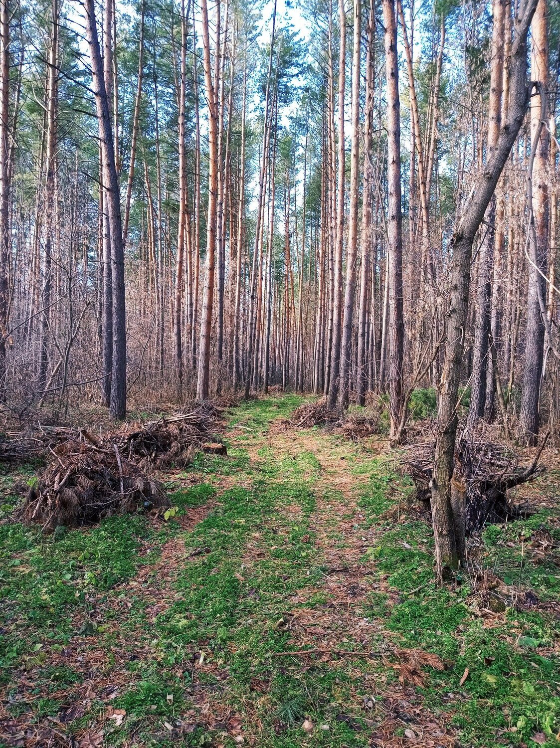 Photo #3838215