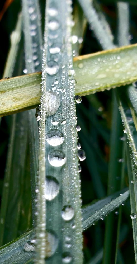 Photograph by mikhail goryachev