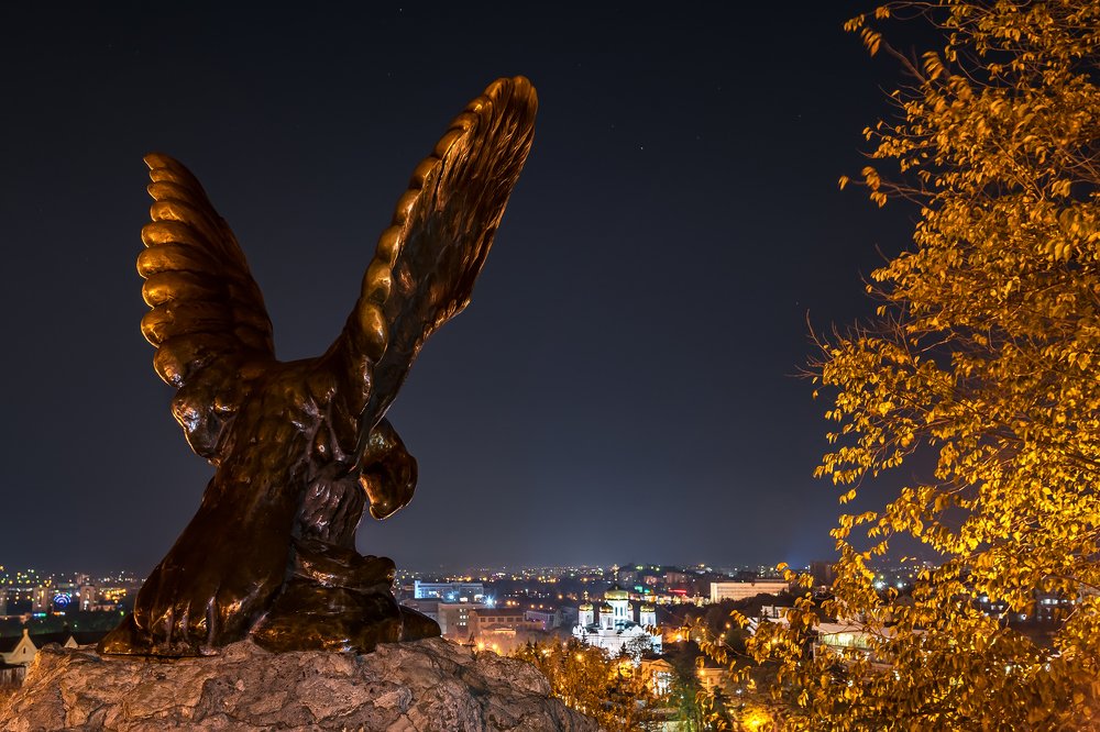 Птицегорск