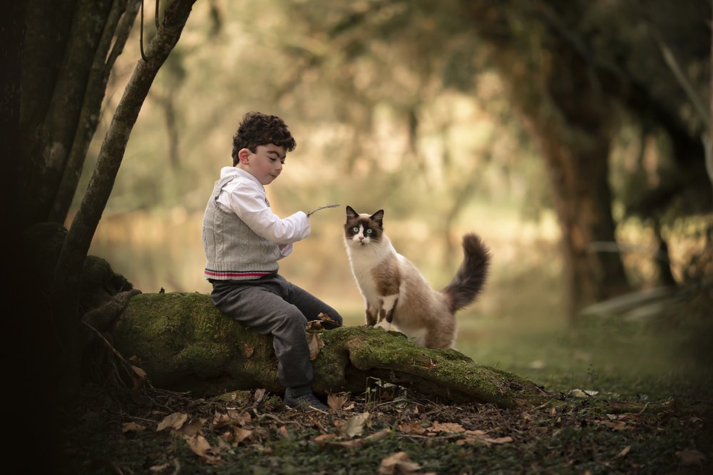 Photograph by Mykaella Carbonera