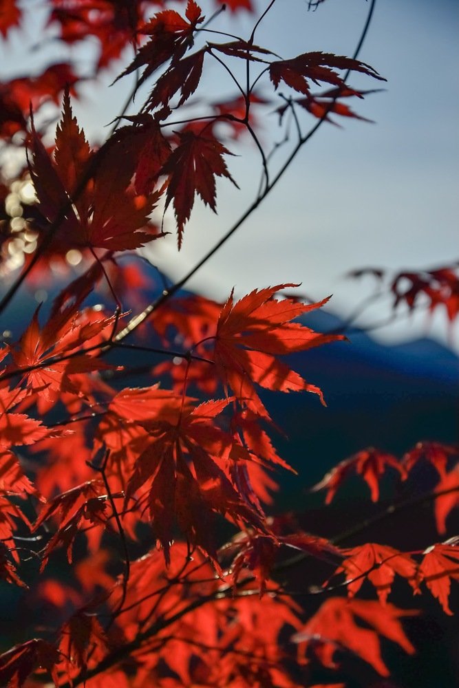 Photograph by Анна Халкониди