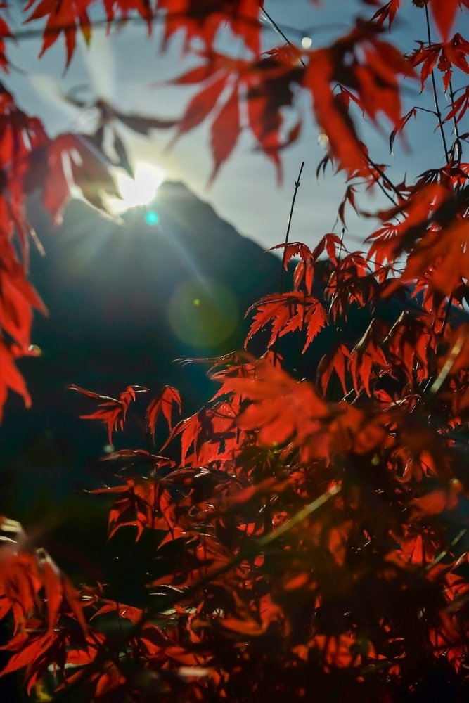 Photograph by Анна Халкониди