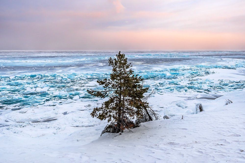 Фотография автора Zakharov Armen