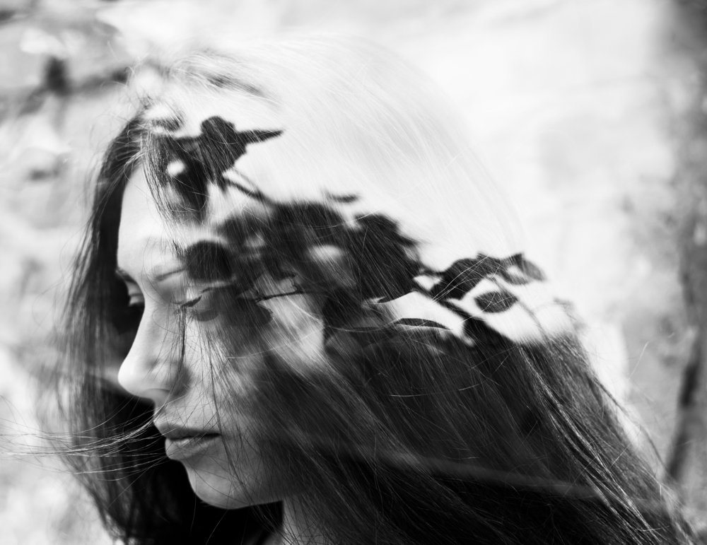 Фотография автора Елена Хазина