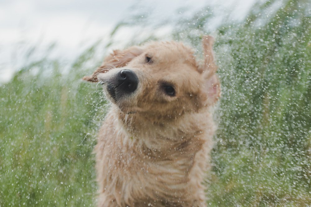 Photograph by Людмила Солдатченкова