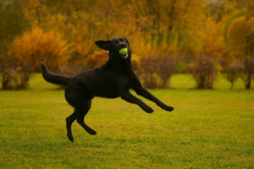 Photograph by Elena Guseva