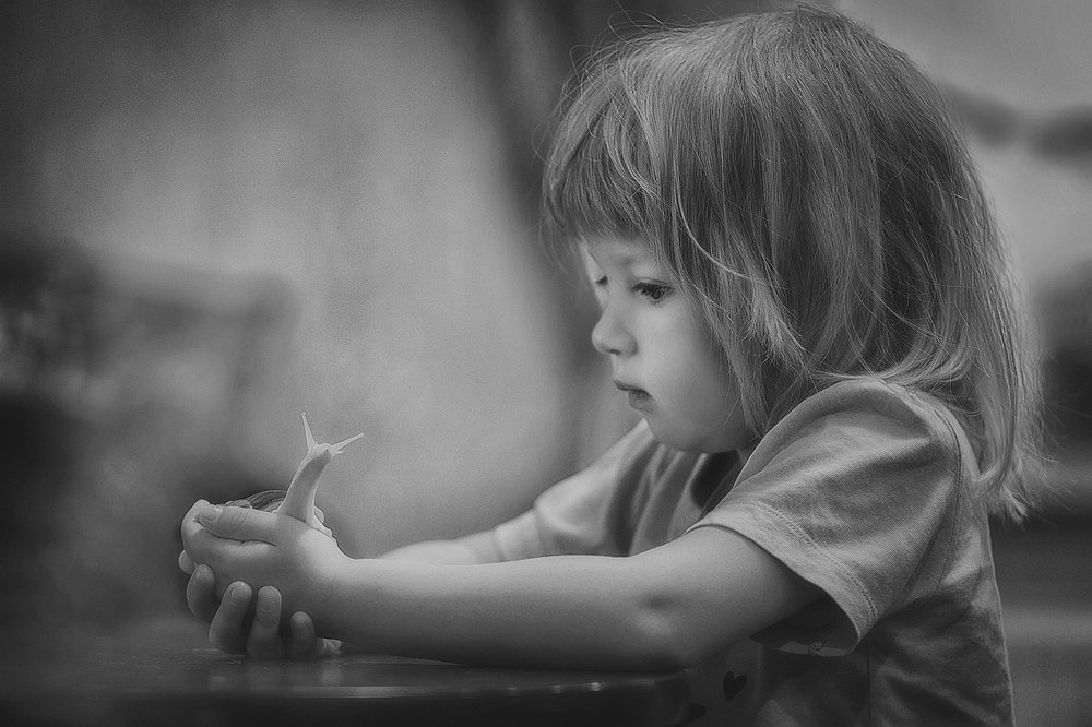 Photograph by Горшечников Сергей