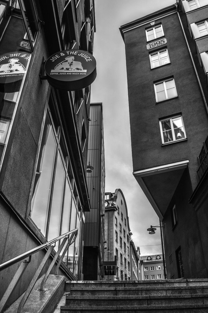 Каменные джунгли