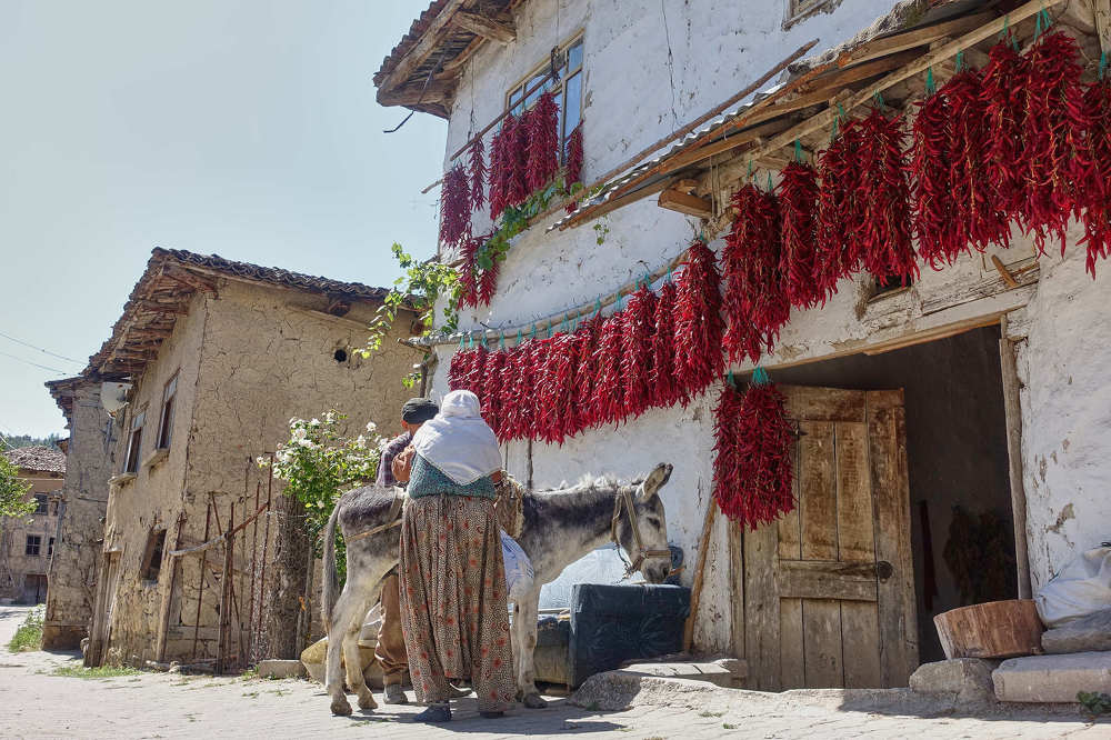 Photograph by Cuneyt Gungor