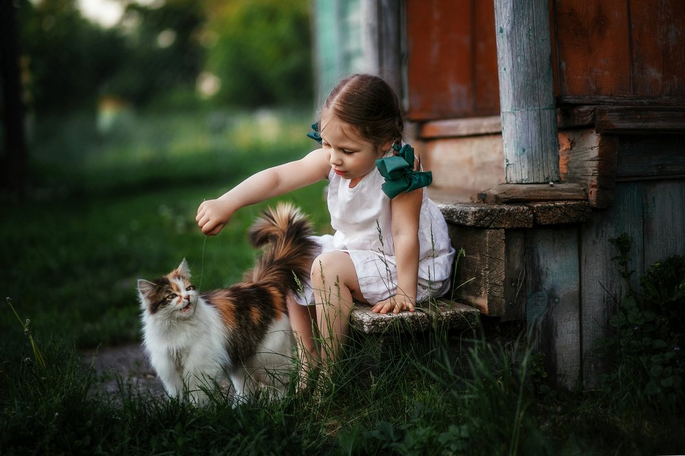 Photograph by Анастасия Шаброва