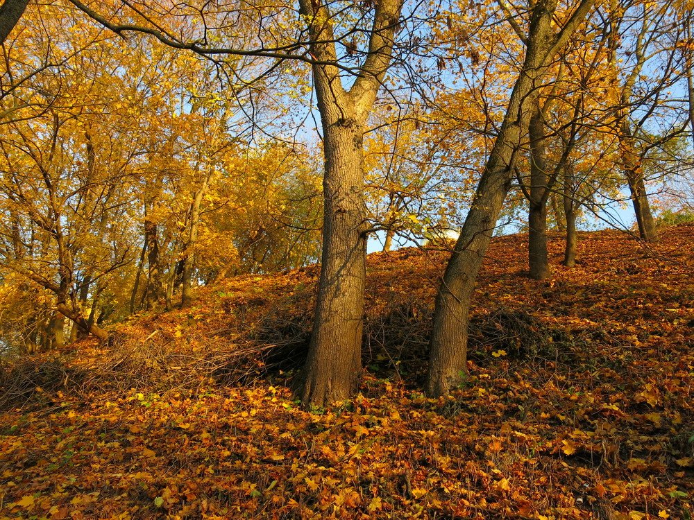Photograph by ЭЛЬМИРА  ИСМАИЛОВА