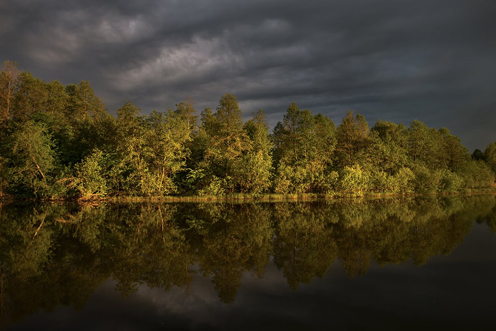 Photograph by Елена Болдырева