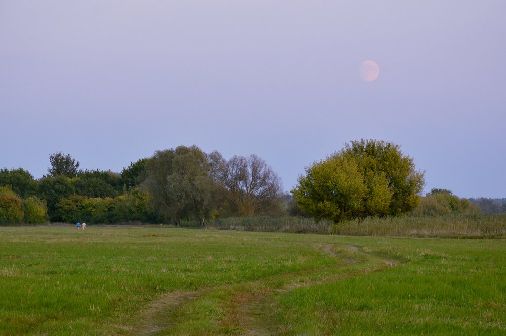 Тихий вечер в начале сентября