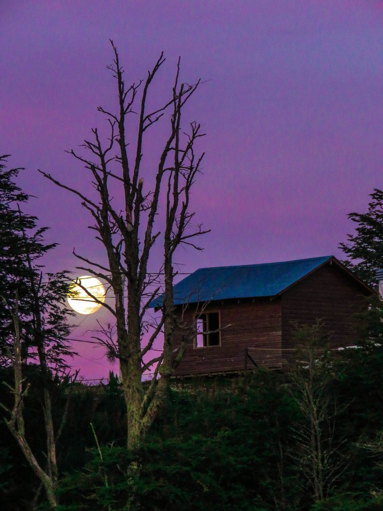 Фотография автора Raul Torres