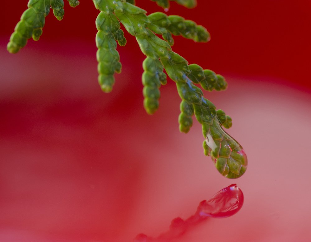 Red water