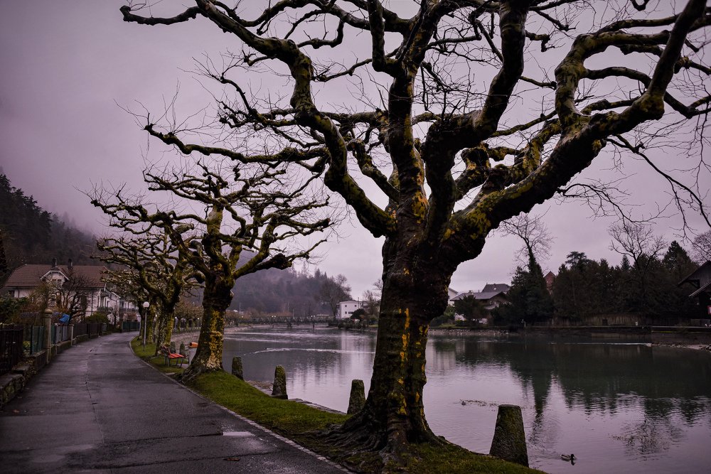 Photograph by Наталия Березина