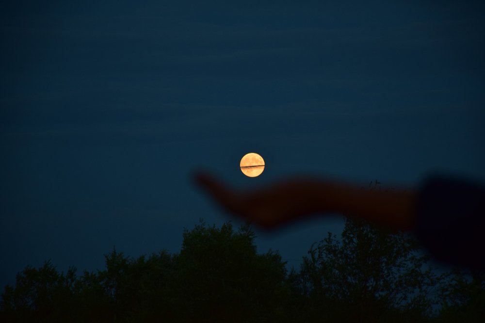 Photograph by  Татьяна Дорожко