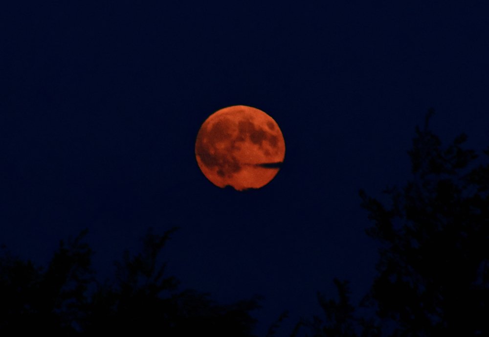 Photograph by  Татьяна Дорожко