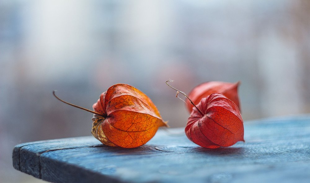 Photograph by Александра Шайдурова