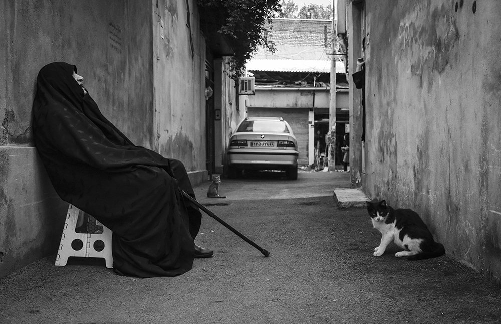 Photograph by Mehrnaz khatamkooya