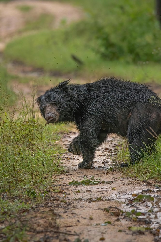 Photograph by Sasidhar Ravinuthala