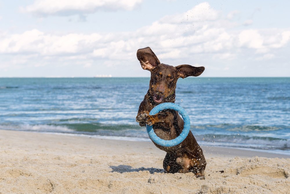 Фотография автора Ольга Тенилова