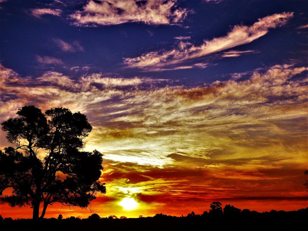 Photo #3839542