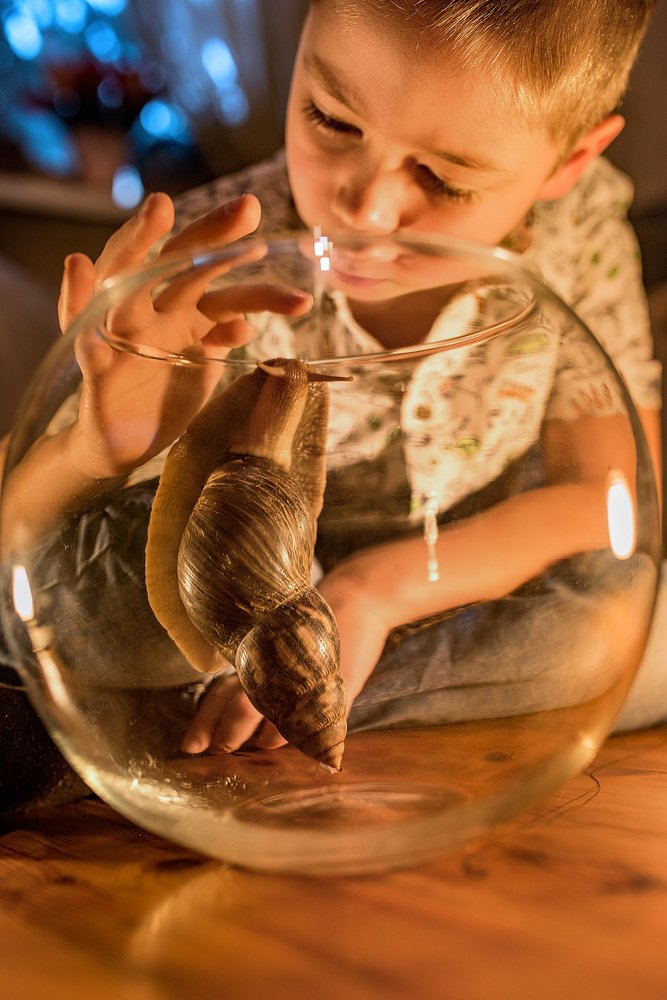 Photograph by Мария Швец