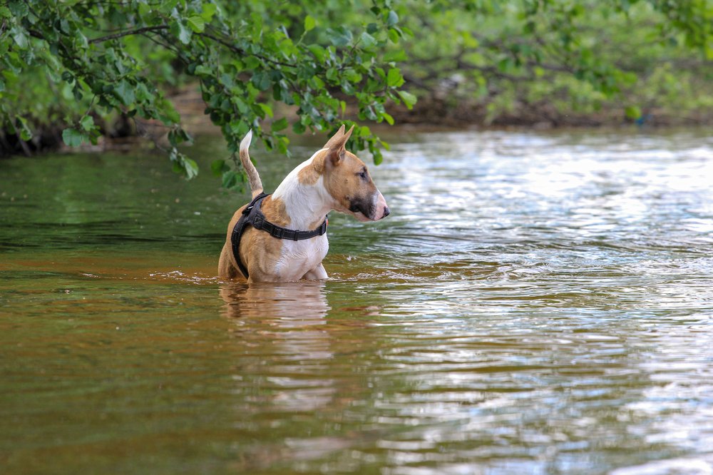 Photograph by Мария Никитина