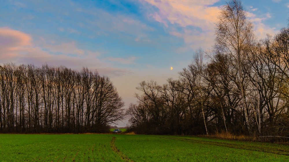 Осень. Ноябрь. В лунном свете.