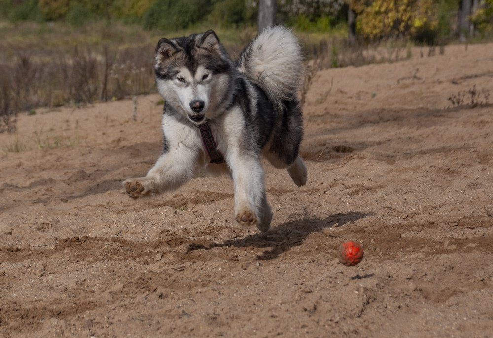 Photograph by Nastya Guseva