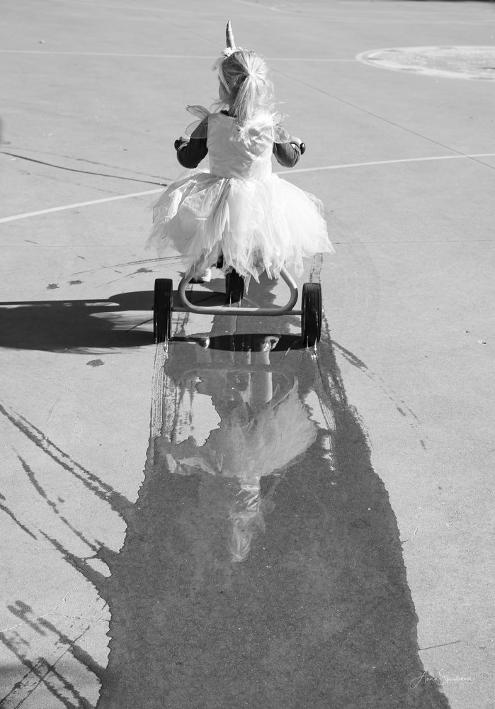 Ordinary extraordinary