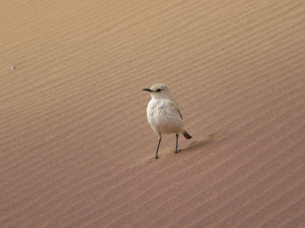 Photograph by Марина Осипова