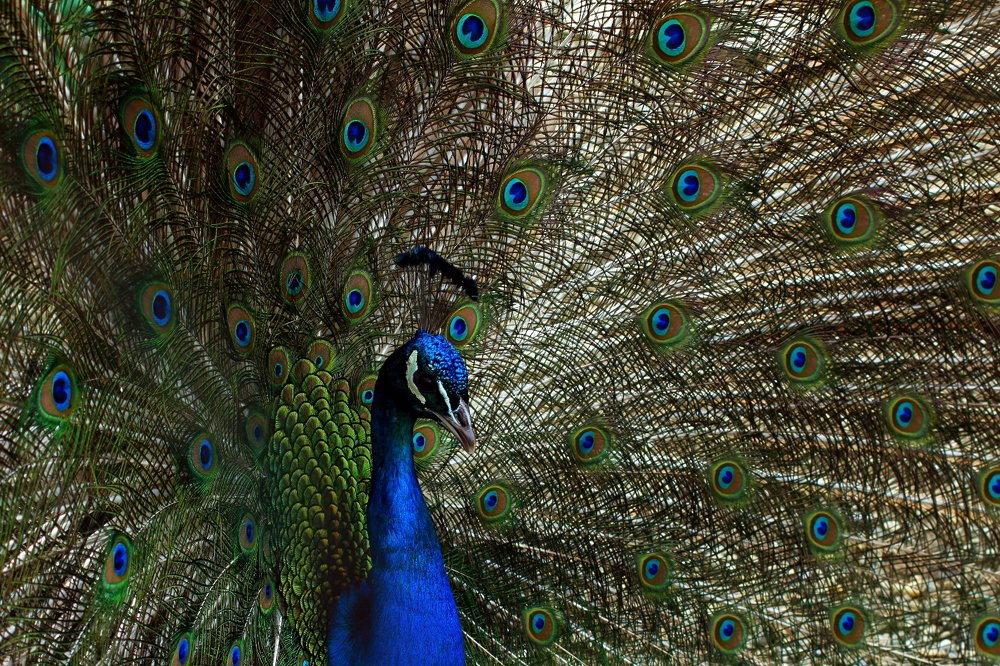 Фотография автора Геннадий Титов