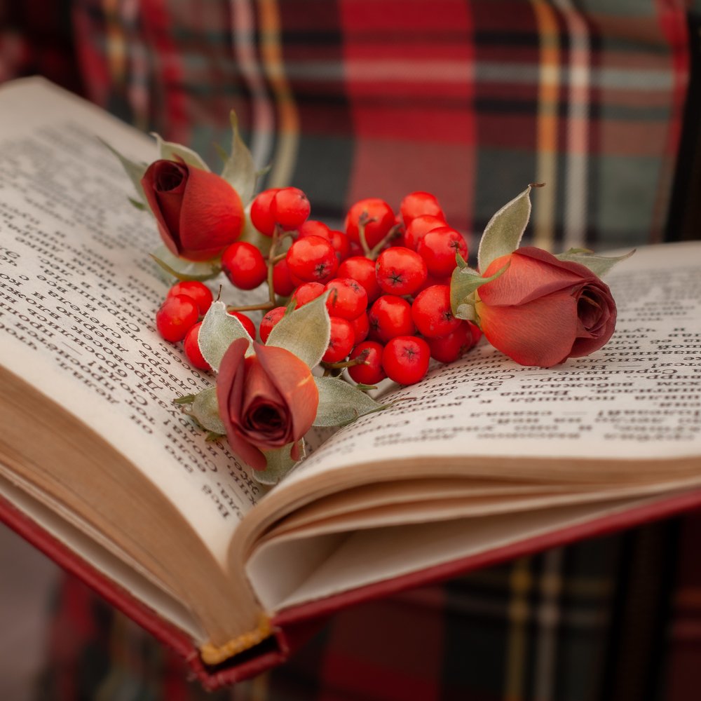 Photograph by Nadezhda Olefe