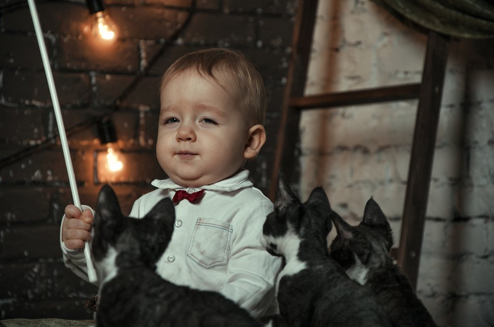 Photograph by Михаил Kolesnik