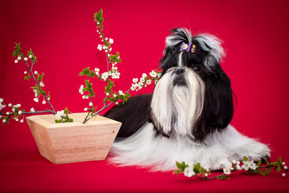 Photograph by Светлана Ткач