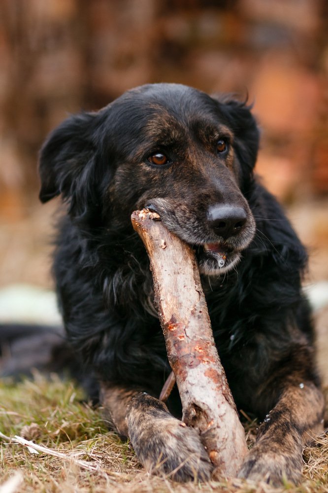 Photograph by Diana Dincheva