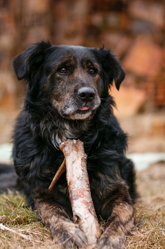 Photograph by Diana Dincheva