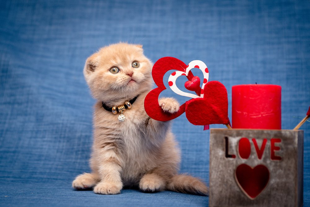 Photograph by Светлана Ткач